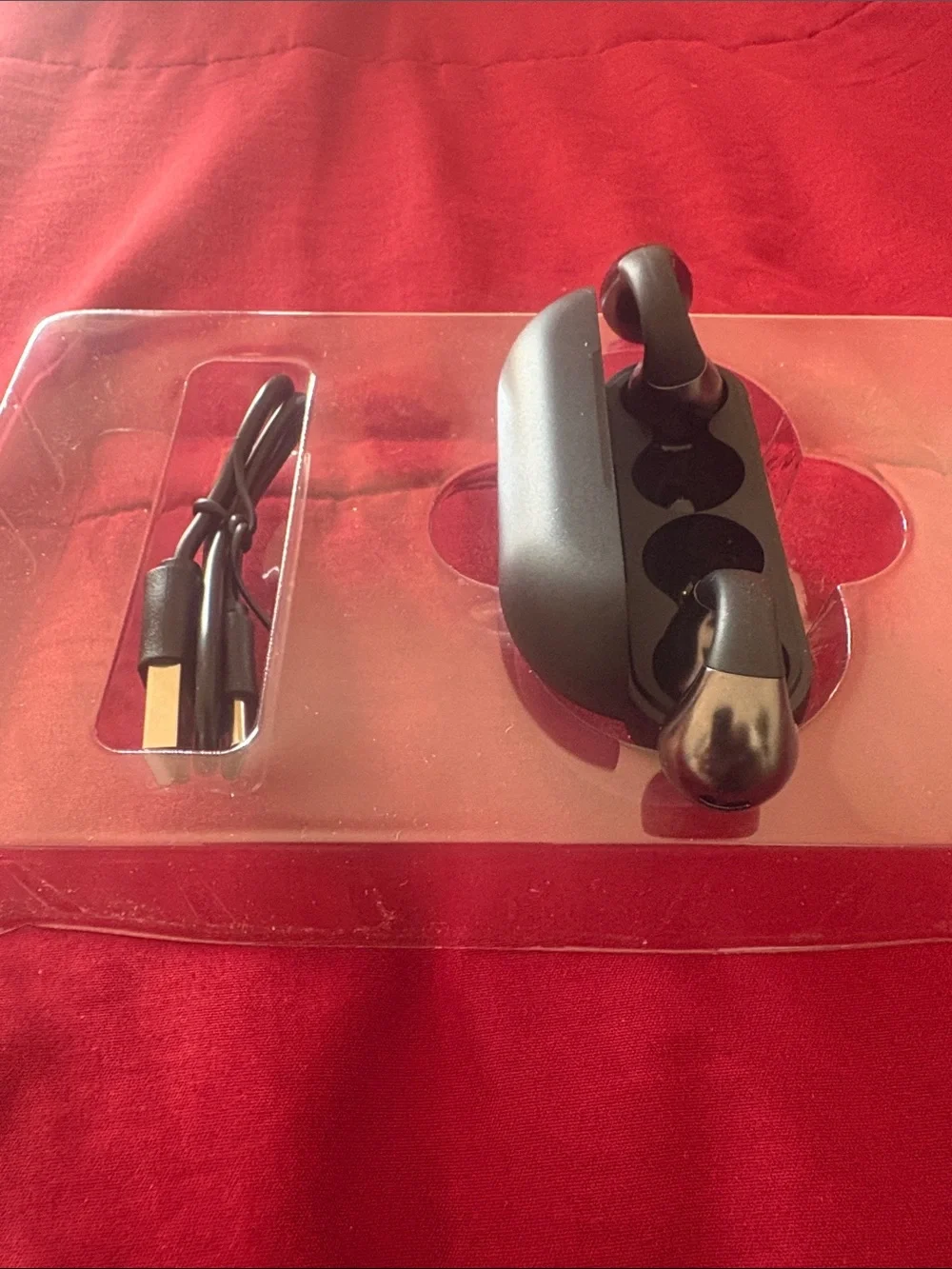 True Wireless Earbuds with Charging Case - Black